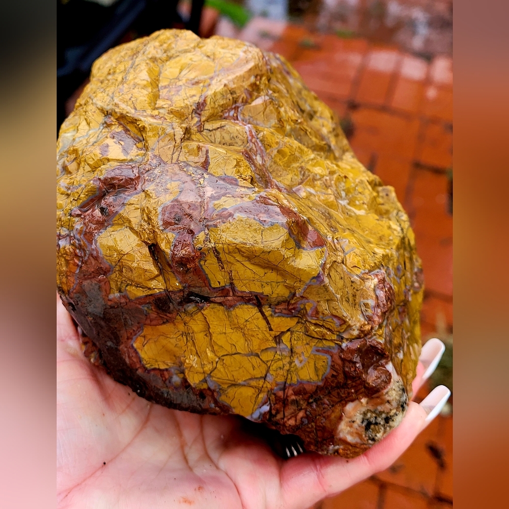 Lapidary Natural Rough Jasper